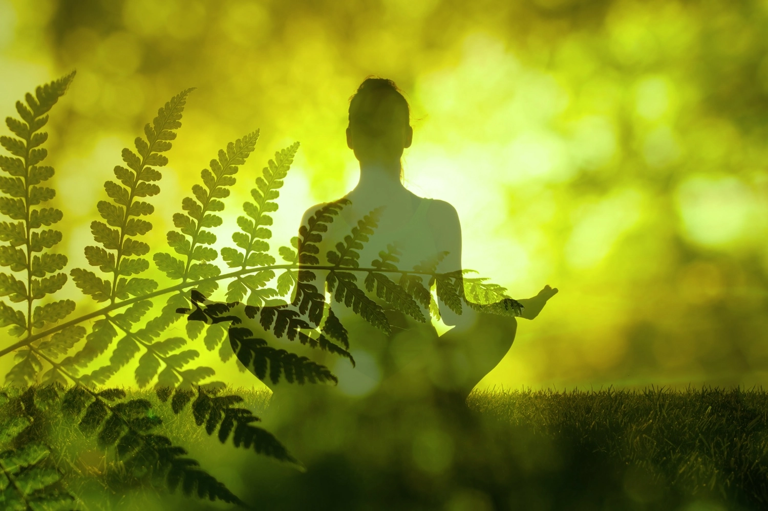 Wechseljahre-Beratung ,Wechseljahre-Coaching ,Coaching-Wechseljahre ,Hitzewallungen ,Brain Fog (they wrote “Brain Trog” → likely typo) ,Gewichtszunahme ,Östrogenungleichgewicht ,Östrogendominanz ,Progesteronungleichgewicht ,Progesterondefizit ,Cortisol Wechseljahre, Schlafberatung Coaching Lügde